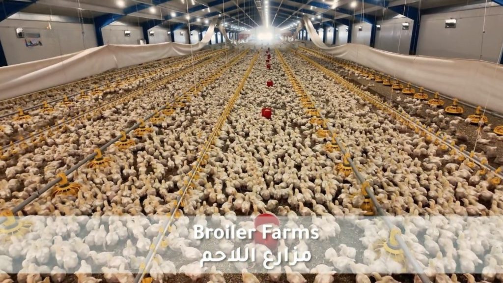 مزارع اللاحم